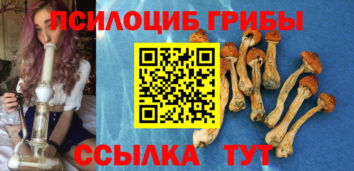 Псилоцибиновые грибы мухоморы Ижевск